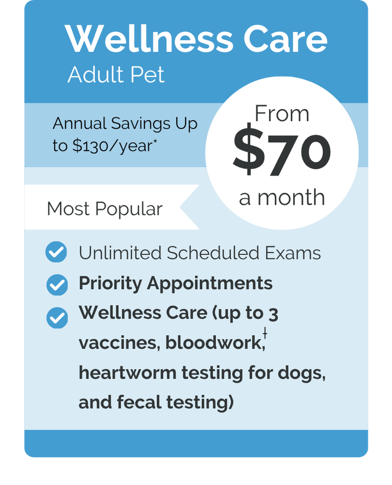 Ardsley VIPet Plan_pricing_Wellness_Modern